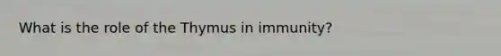 What is the role of the Thymus in immunity?