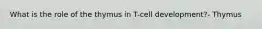 What is the role of the thymus in T-cell development?- Thymus