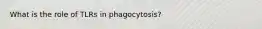 What is the role of TLRs in phagocytosis?