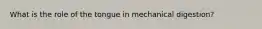 What is the role of the tongue in mechanical digestion?