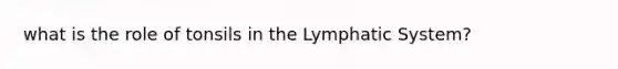 what is the role of tonsils in the Lymphatic System?