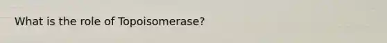 What is the role of Topoisomerase?