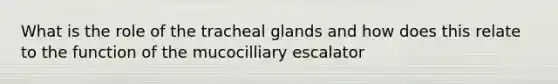 What is the role of the tracheal glands and how does this relate to the function of the mucocilliary escalator