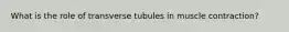 What is the role of transverse tubules in muscle contraction?