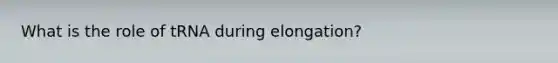 What is the role of tRNA during elongation?