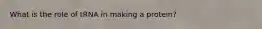 What is the role of tRNA in making a protein?