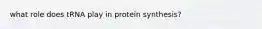 what role does tRNA play in protein synthesis?