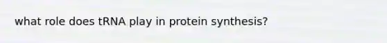 what role does tRNA play in protein synthesis?