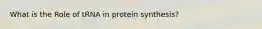 What is the Role of tRNA in protein synthesis?