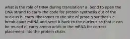 what is the role of tRNA during translation? a. bond to open the DNA strand to carry the code for protein synthesis out of the nucleus b. carry ribosomes to the site of protein synthesis c. break apart mRNA and send it back to the nucleus so that it can be reused d. carry amino acids to the mRNA for correct placement into the protein chain.