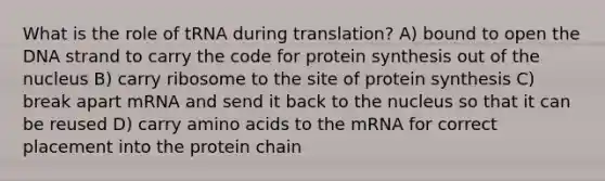 What is the role of tRNA during translation? A) bound to open the DNA strand to carry the code for <a href='https://www.questionai.com/knowledge/kVyphSdCnD-protein-synthesis' class='anchor-knowledge'>protein synthesis</a> out of the nucleus B) carry ribosome to the site of protein synthesis C) break apart mRNA and send it back to the nucleus so that it can be reused D) carry <a href='https://www.questionai.com/knowledge/k9gb720LCl-amino-acids' class='anchor-knowledge'>amino acids</a> to the mRNA for correct placement into the protein chain