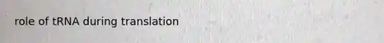 role of tRNA during translation