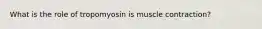 What is the role of tropomyosin is muscle contraction?