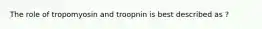 The role of tropomyosin and troopnin is best described as ?