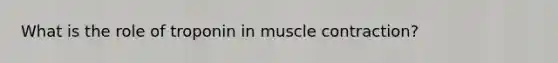 What is the role of troponin in muscle contraction?