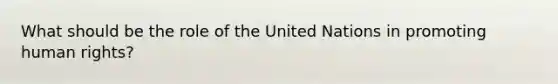 What should be the role of the United Nations in promoting <a href='https://www.questionai.com/knowledge/kUoulZJ8Ml-human-rights' class='anchor-knowledge'>human rights</a>?