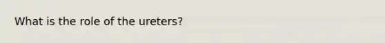 What is the role of the ureters?