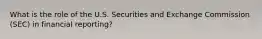 What is the role of the U.S. Securities and Exchange Commission (SEC) in financial reporting?