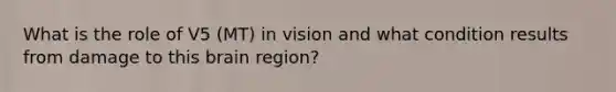 What is the role of V5 (MT) in vision and what condition results from damage to this brain region?