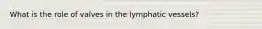 What is the role of valves in the lymphatic vessels?