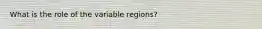 What is the role of the variable regions?