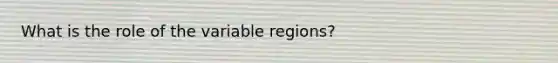 What is the role of the variable regions?