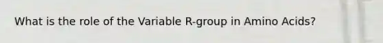 What is the role of the Variable R-group in <a href='https://www.questionai.com/knowledge/k9gb720LCl-amino-acids' class='anchor-knowledge'>amino acids</a>?