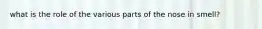 what is the role of the various parts of the nose in smell?