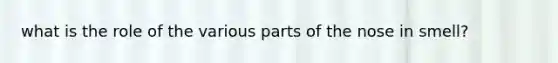 what is the role of the various parts of the nose in smell?