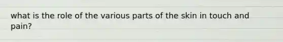 what is the role of the various parts of the skin in touch and pain?
