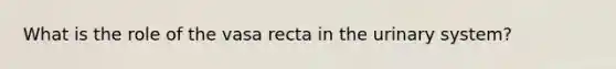 What is the role of the vasa recta in the urinary system?