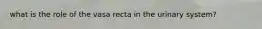 what is the role of the vasa recta in the urinary system?