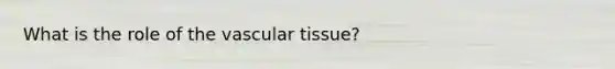 What is the role of the vascular tissue?