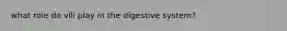 what role do vili play in the digestive system?