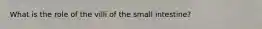 What is the role of the villi of the small intestine?