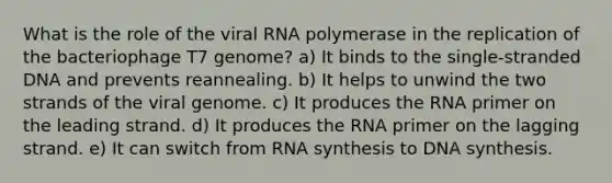 What is the role of the viral RNA polymerase in the replication of the bacteriophage T7 genome? a) It binds to the single-stranded DNA and prevents reannealing. b) It helps to unwind the two strands of the viral genome. c) It produces the RNA primer on the leading strand. d) It produces the RNA primer on the lagging strand. e) It can switch from RNA synthesis to DNA synthesis.