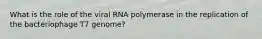 What is the role of the viral RNA polymerase in the replication of the bacteriophage T7 genome?