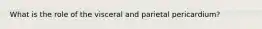 What is the role of the visceral and parietal pericardium?