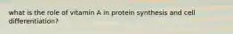 what is the role of vitamin A in protein synthesis and cell differentiation?