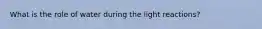 What is the role of water during the light reactions?