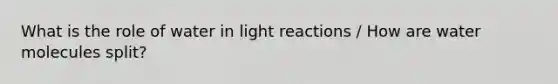 What is the role of water in light reactions / How are water molecules split?