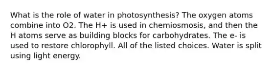 What is the role of water in photosynthesis? The oxygen atoms combine into O2. The H+ is used in chemiosmosis, and then the H atoms serve as building blocks for carbohydrates. The e- is used to restore chlorophyll. All of the listed choices. Water is split using light energy.