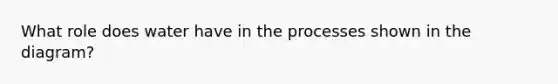 What role does water have in the processes shown in the diagram?