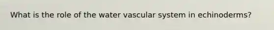 What is the role of the water vascular system in echinoderms?