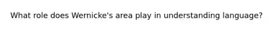 What role does Wernicke's area play in understanding language?