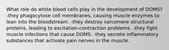 What role do white blood cells play in the development of DOMS? -they phagocytose cell membranes, causing muscle enzymes to lean into the bloodstream. -they destroy sarcomere structural proteins, leading to excitation-contraction problems. -they fight muscle infections that cause DOMS. -they secrete inflammatory substances that activate pain nerves in the muscle.