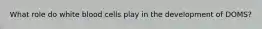 What role do white blood cells play in the development of DOMS?