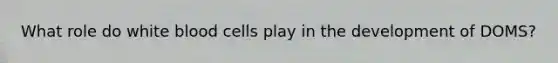 What role do white blood cells play in the development of DOMS?