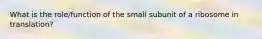 What is the role/function of the small subunit of a ribosome in translation?