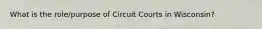 What is the role/purpose of Circuit Courts in Wisconsin?